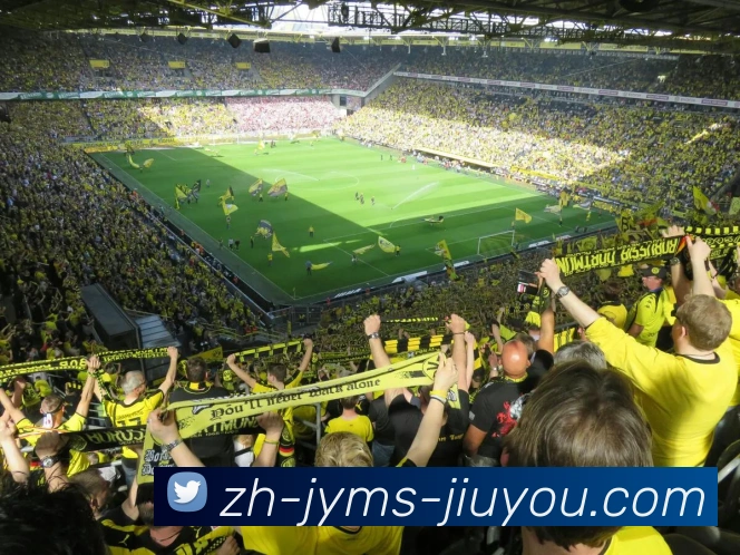 多媒体互动体验